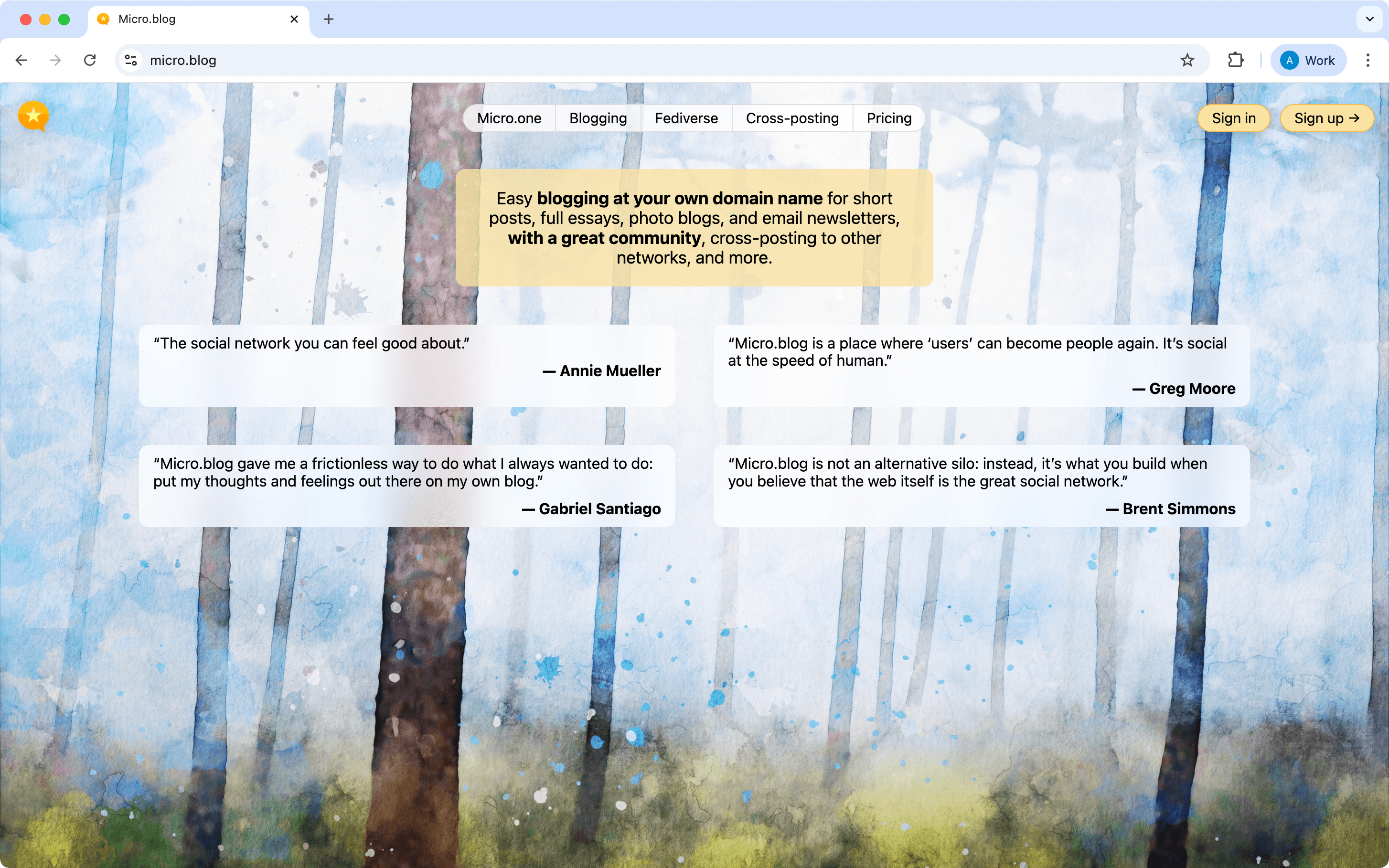 micro-blog